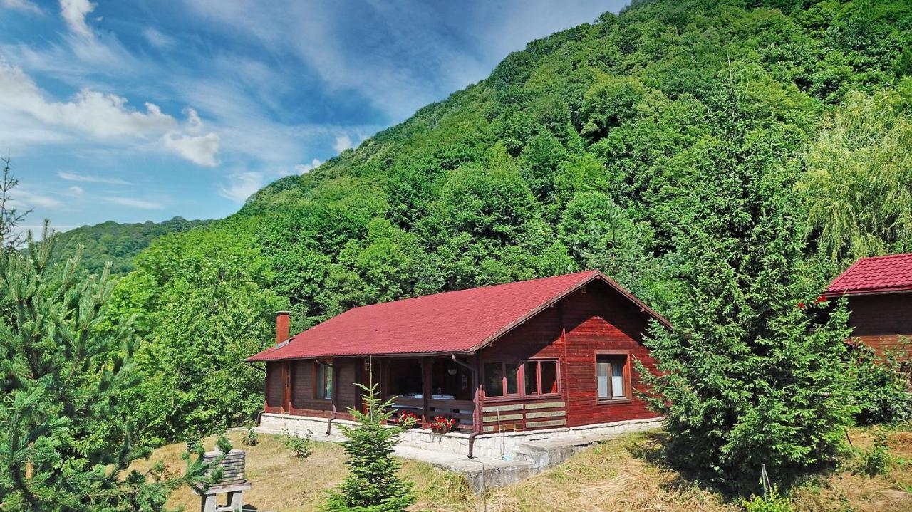 Cabana Poiana Verde Szlanikfürdő Kültér fotó